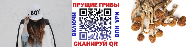 Псилоцибиновые грибы мухоморы  KRAKEN онион  Заозёрск 