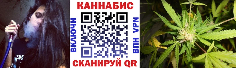 Бошки Шишки конопля Заозёрск